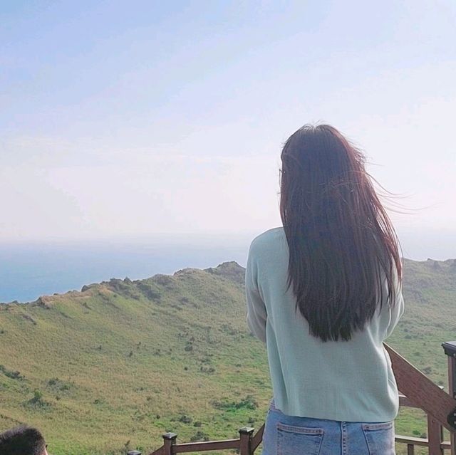 성산일출봉 근처 혼자 묵기좋은 플레이스 캠프 제주🏕