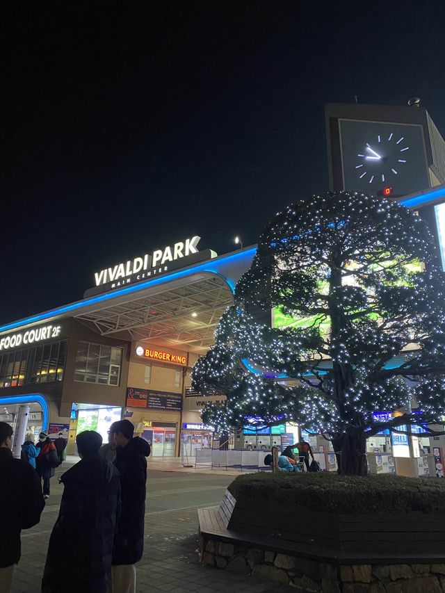 홍천 비발디파크에서 짜릿한 야간 스키⛷️🌙