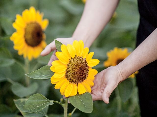 วิ่งเล่นยามเช้าที่ทุ่งดอกทานตะวัน สวนรถไฟ 🌻🌻🌻