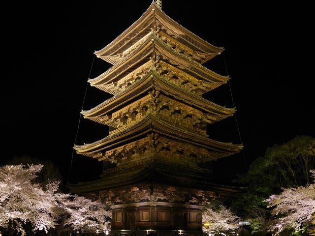 【京都市】五重塔と桜の饗宴🌸