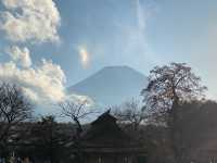 富士五湖 人生日本必來景點之一