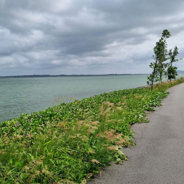 Seaside Cycling At Changi Bay Point