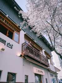 벚꽃뷰 대구 고기맛집 강씨목삼🌸👍
