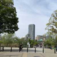東京賞櫻熱點 - 上野公園