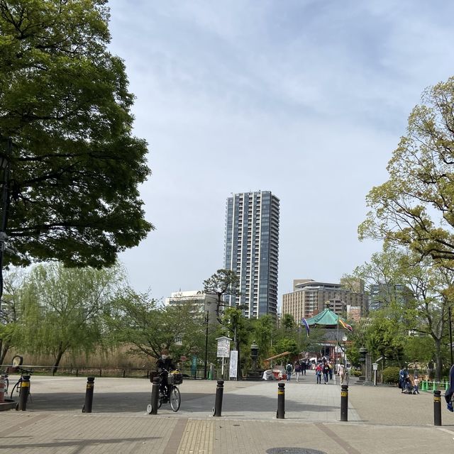 東京賞櫻熱點 - 上野公園