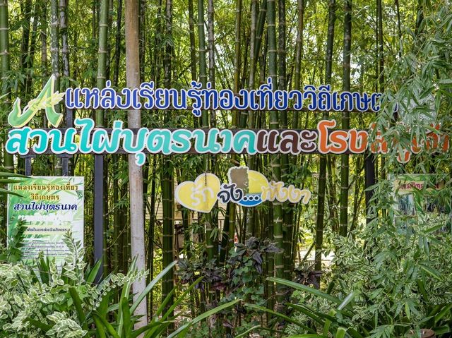 โรงสีปู่เจ้า เที่ยววิถีเกษตร 