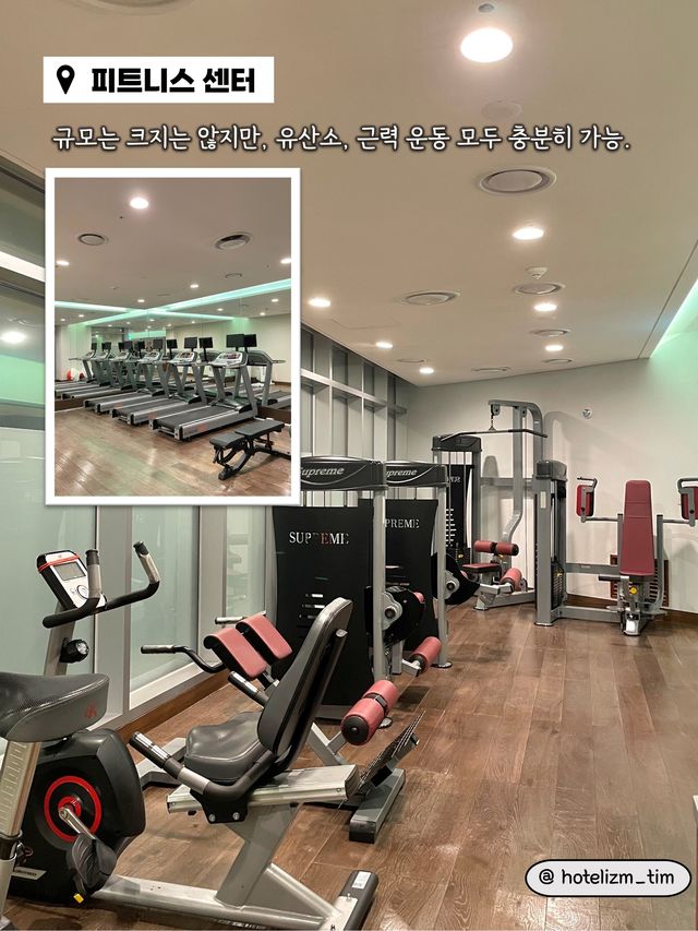 자연과 하나되는 산뜻함 가득한 제주 호텔🏨
