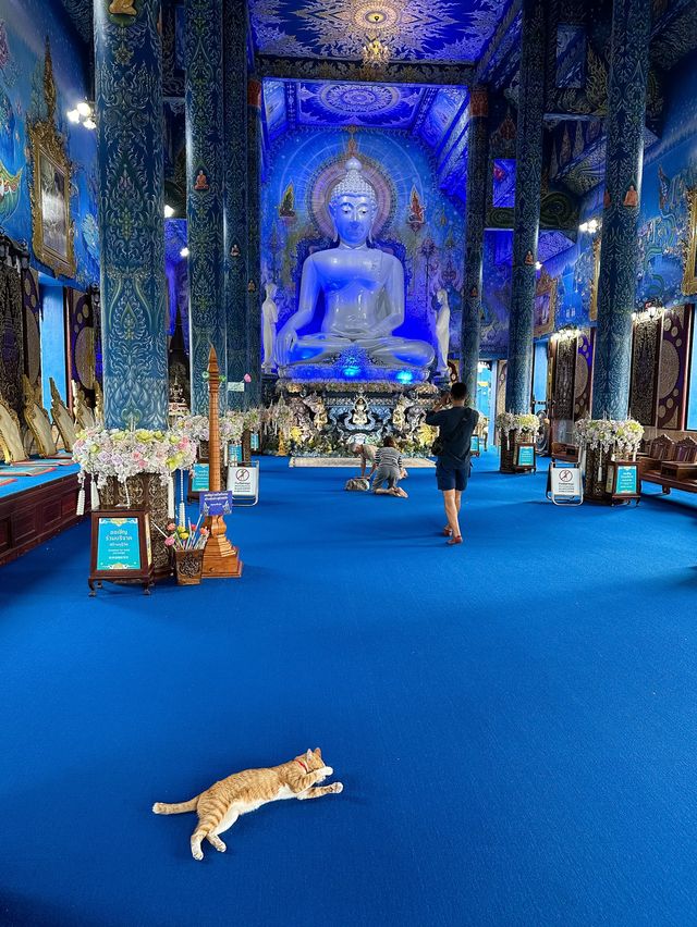 Fascinating Blue Temple in Chiang Rai