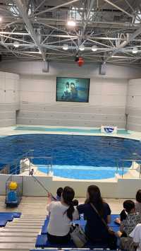 探索海洋奇觀：帶小朋友遊覽鹿兒島水族館