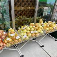 淡路島「あわじ花さじき」駐車場料金だけで入場できる花畑