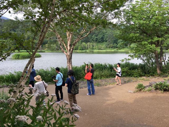 北海道　北海道観光　利尻島で絶対に外せない観光スポット　姫沼に行ってきた！