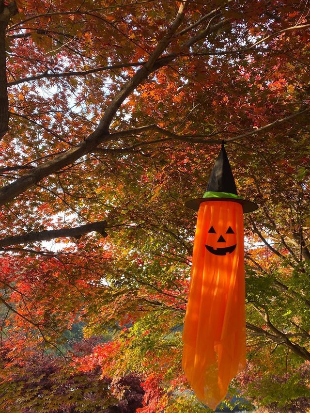 다가오는 가을에 단풍뷰를 볼 수 있는 어라운드에잇 카페🍁