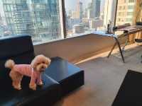 W Bangkok มนุษย์พักได้…มะหมาพักด้วยยย 🐶