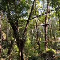 เล่น Zip Line ที่ Green Jungle Park