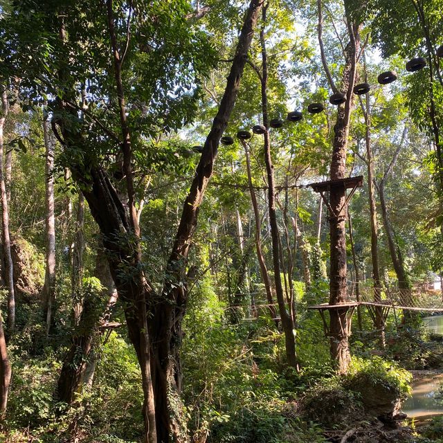 เล่น Zip Line ที่ Green Jungle Park