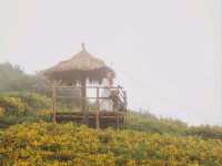 สวนดอกไม้ดอยช้างแป้ #พิกัดม่อนแจ่ม จ.เชียงใหม่