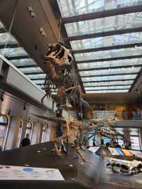 Natural History Museum of Los Angeles 💎