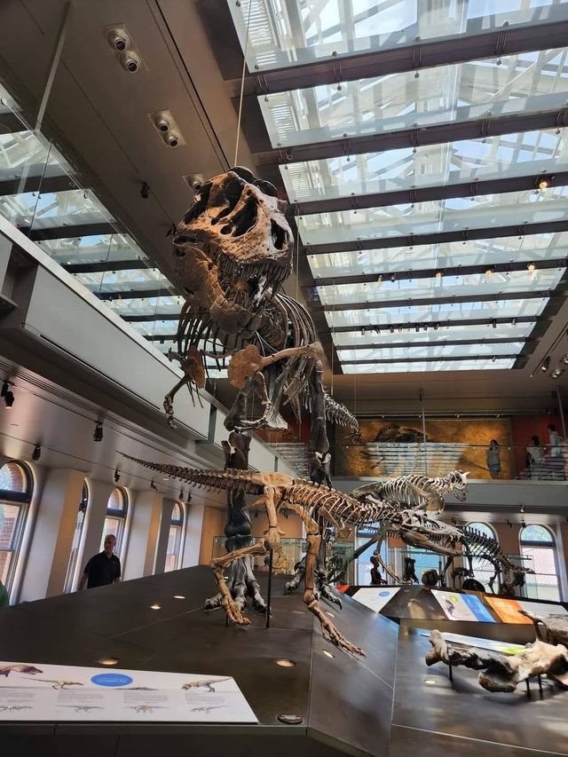 Natural History Museum of Los Angeles 💎