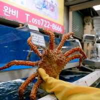 Gijang Market สวรรค์ของคนรักซีฟู้ด @ปูซาน!