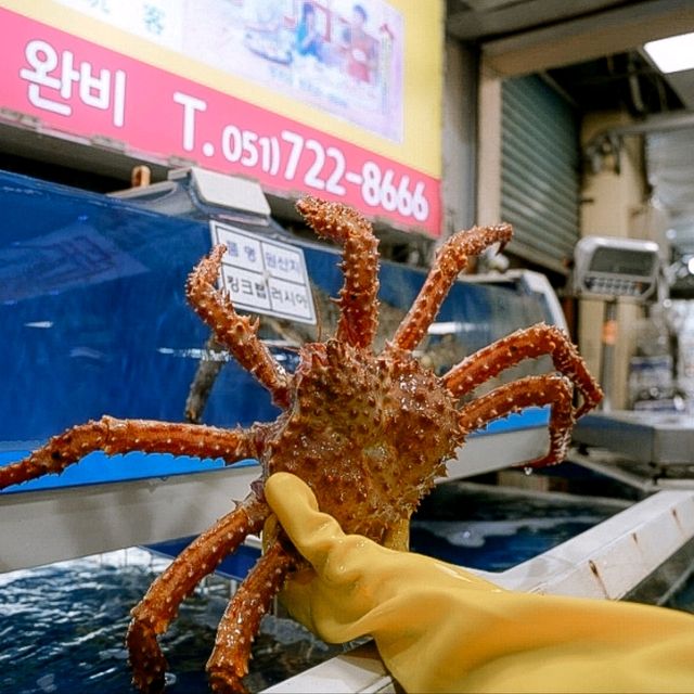 Gijang Market สวรรค์ของคนรักซีฟู้ด @ปูซาน!