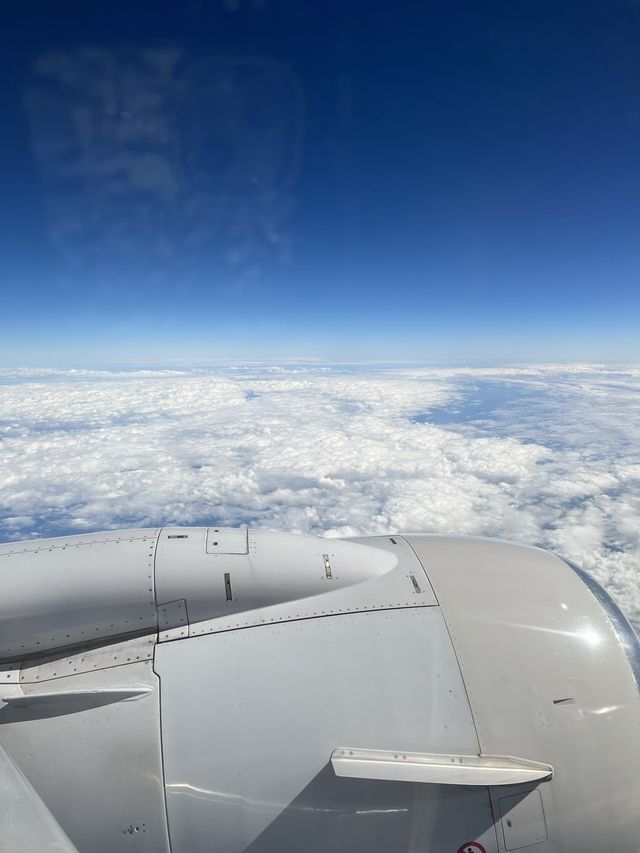 【グアム】アメリカンなレトロ飛行機！ユナイテッド航空搭乗レポ