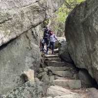 Cheung Yan Shan (長屻山) , Pak Kung  Au (伯公坳), Ngau Tong Au (牛塘坳)and Watertop Peak (出水頂) Hike
