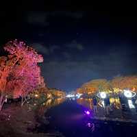 Yuejin Lantern Festival 2023