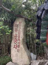부산 기장 바다 옆에 있는 멋진뷰의 사찰🏮 [부산_해동용궁사]