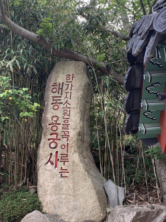 부산 기장 바다 옆에 있는 멋진뷰의 사찰🏮 [부산_해동용궁사]