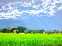 บ้านต้นจาน คาเฟ่ และ Farmstay ในหนองคาย