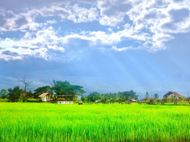 บ้านต้นจาน คาเฟ่ และ Farmstay ในหนองคาย