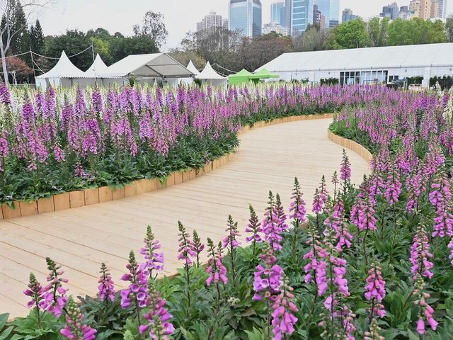 香港花卉展覽明日維多利亞公園揭幕