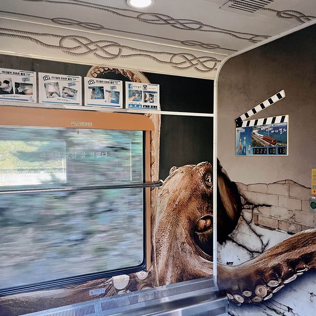 기차 한면이 모두 통유리! 기차타고 떠나는 바다 여행 코스🚃