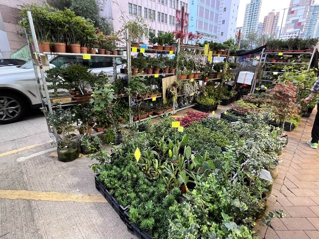 香港特色街道 @ 旺角花墟