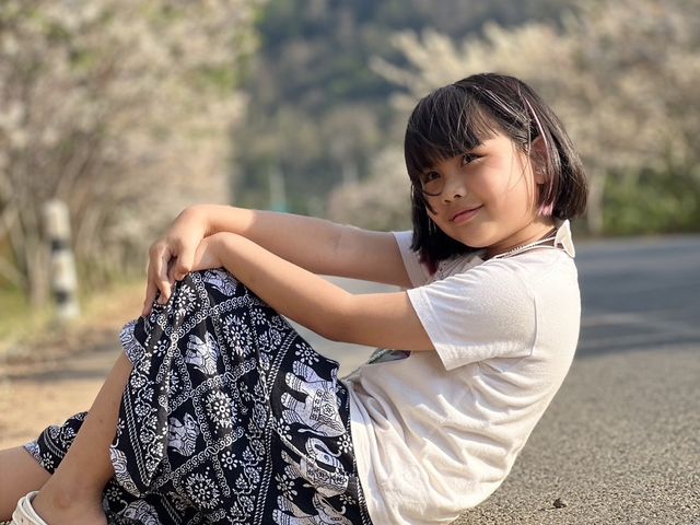 ซากุระเมืองจันท์ 🌸