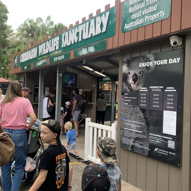 澳洲｜昆士蘭州｜Currumbin 擁有七十多年歷史的動物園、還可以抱無尾熊🐨