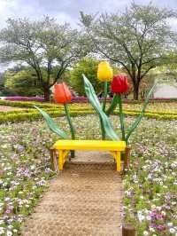울산대공원 튤립 꽃놀이 🌷