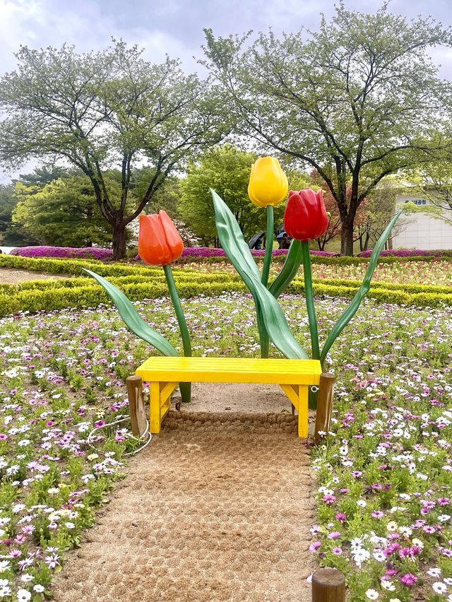 울산대공원 튤립 꽃놀이 🌷