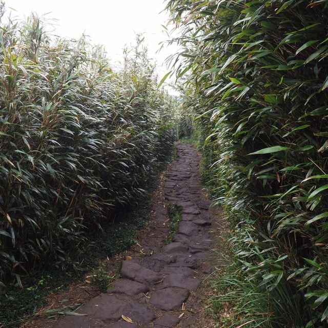 Yangmingshan: Lengshuikeng>>xiaoyoukeng trail