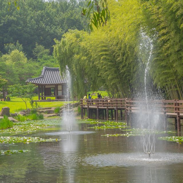 담양의 자랑 “죽녹원”🎋