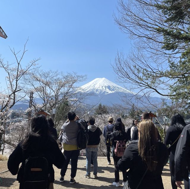 Mount Fuji view with pagoda! 