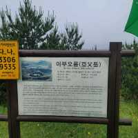 제주여행 제주도의 인기 오름 중 하나의 아부오름 등반