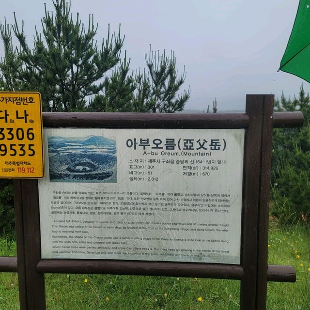 제주여행 제주도의 인기 오름 중 하나의 아부오름 등반