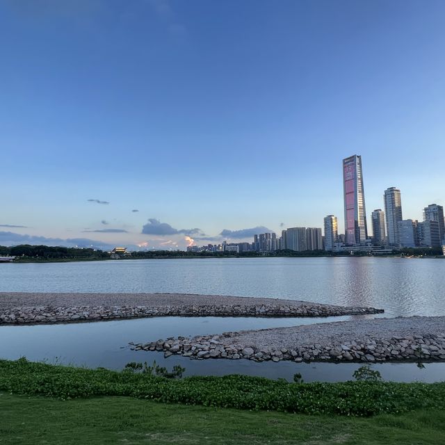 最美公園之深圳人才公園