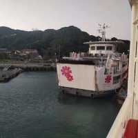 Nokonoshima Island Park เกาะดอกไม้แห่งFukuoka