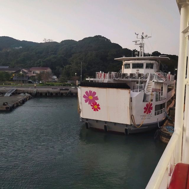 Nokonoshima Island Park เกาะดอกไม้แห่งFukuoka