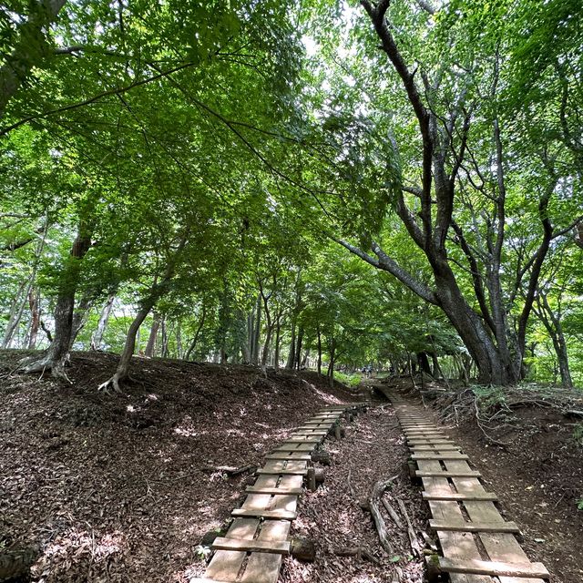 【神奈川】塔ノ岳道中の大倉尾根の山小屋たち