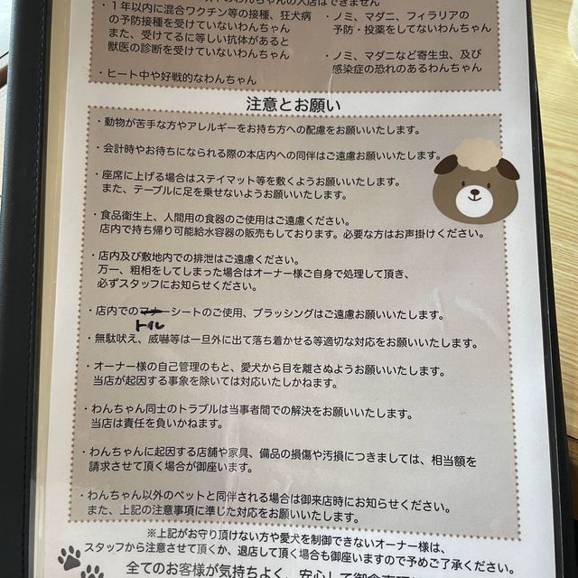 【ペットとお出かけ】山梨県のご当地グルメを堪能！