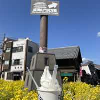 【千葉観光】成田山巡り✨