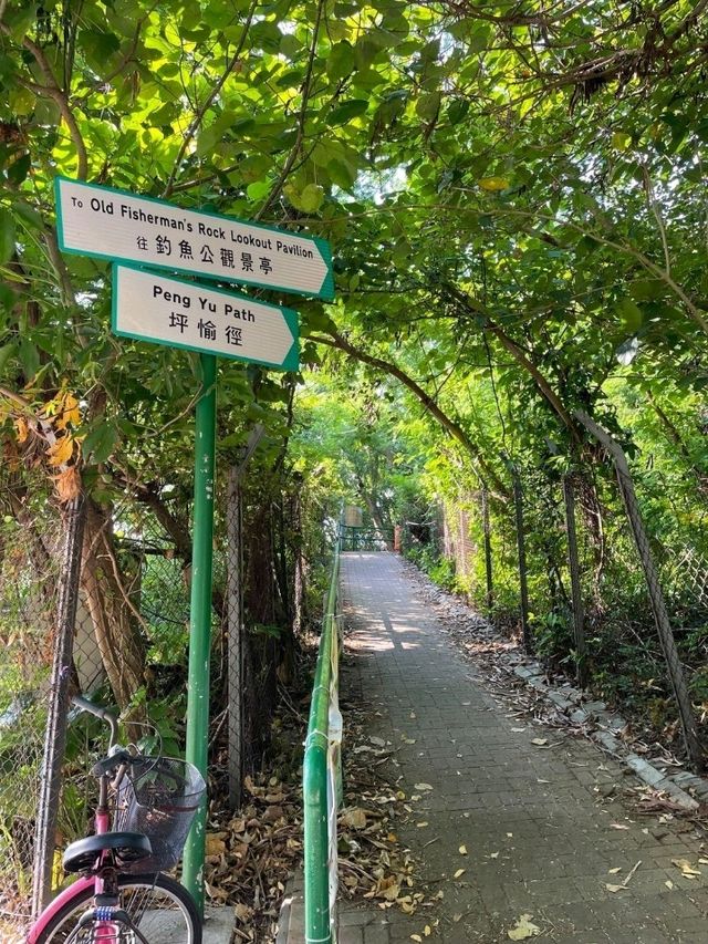 寧靜小島。坪洲週末遊